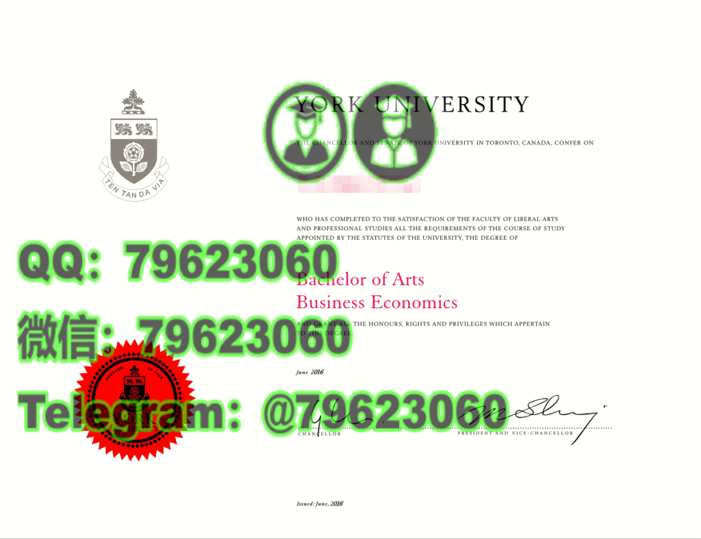 243york university diploma sample