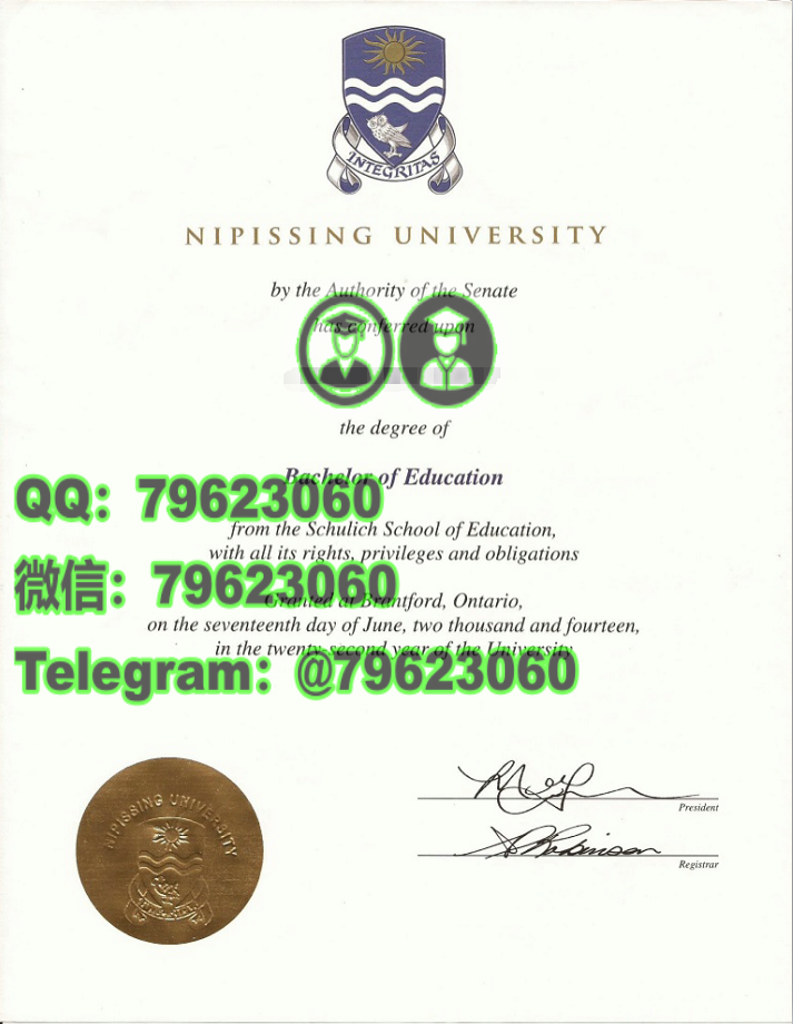 260nipissing university diploma sample