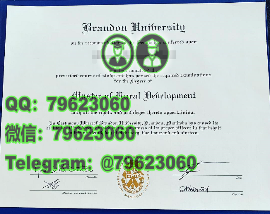 281the brandon university diploma sample