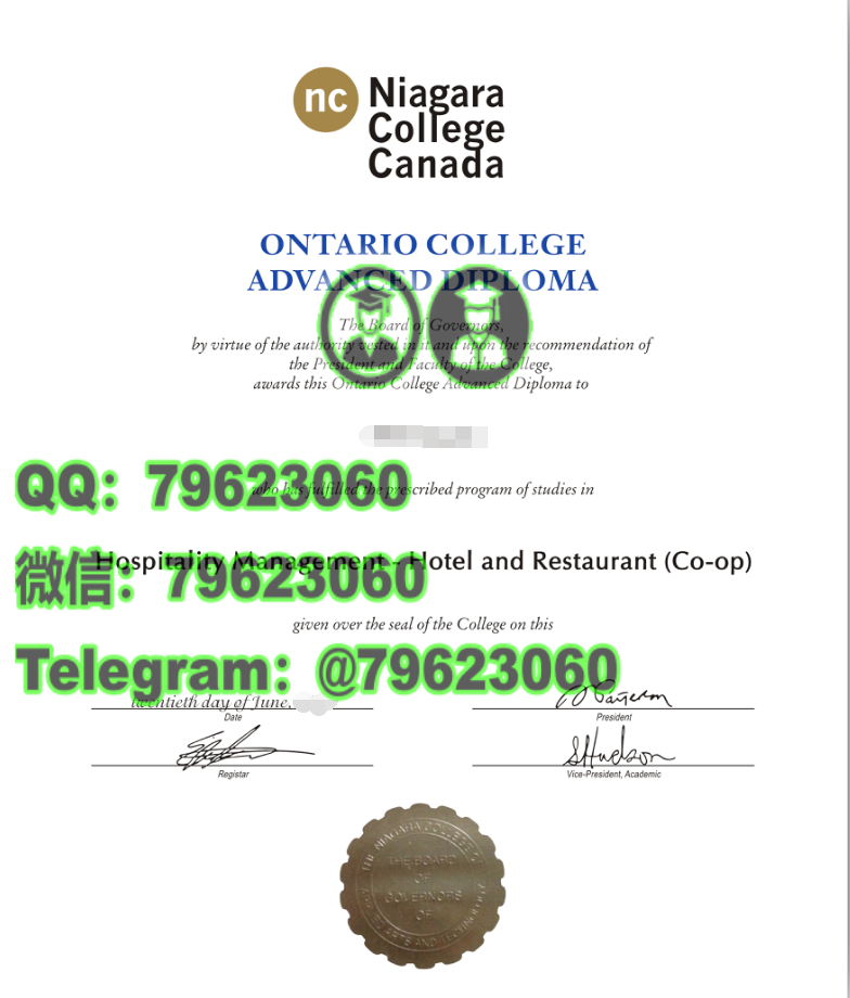 305niagara college diploma sample