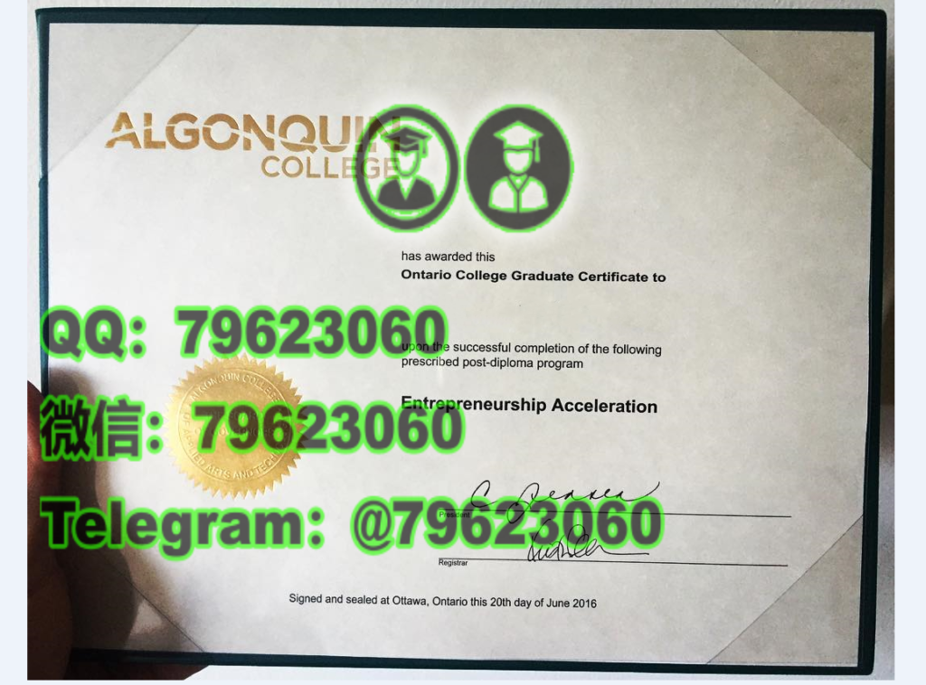 309algonquin college diploma sample