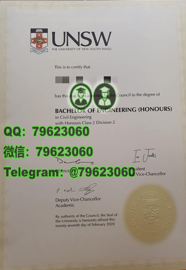 316university of new south wales diploma sample