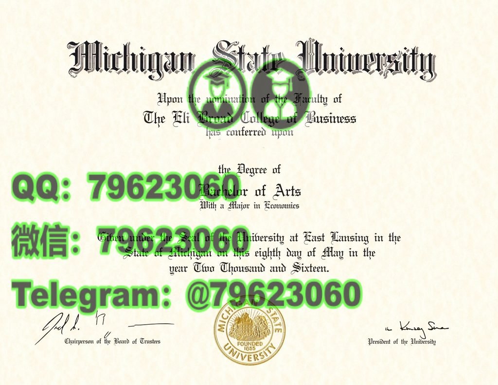 133 michigan state university diploma sample