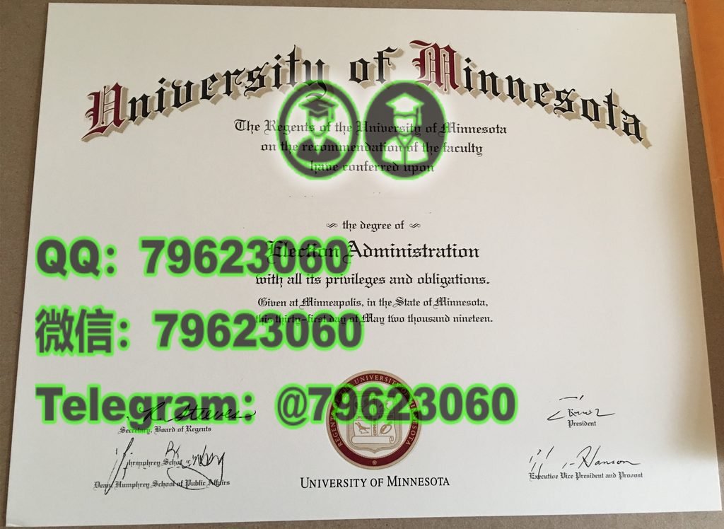 135 university of minnesota twin cities diploma sample