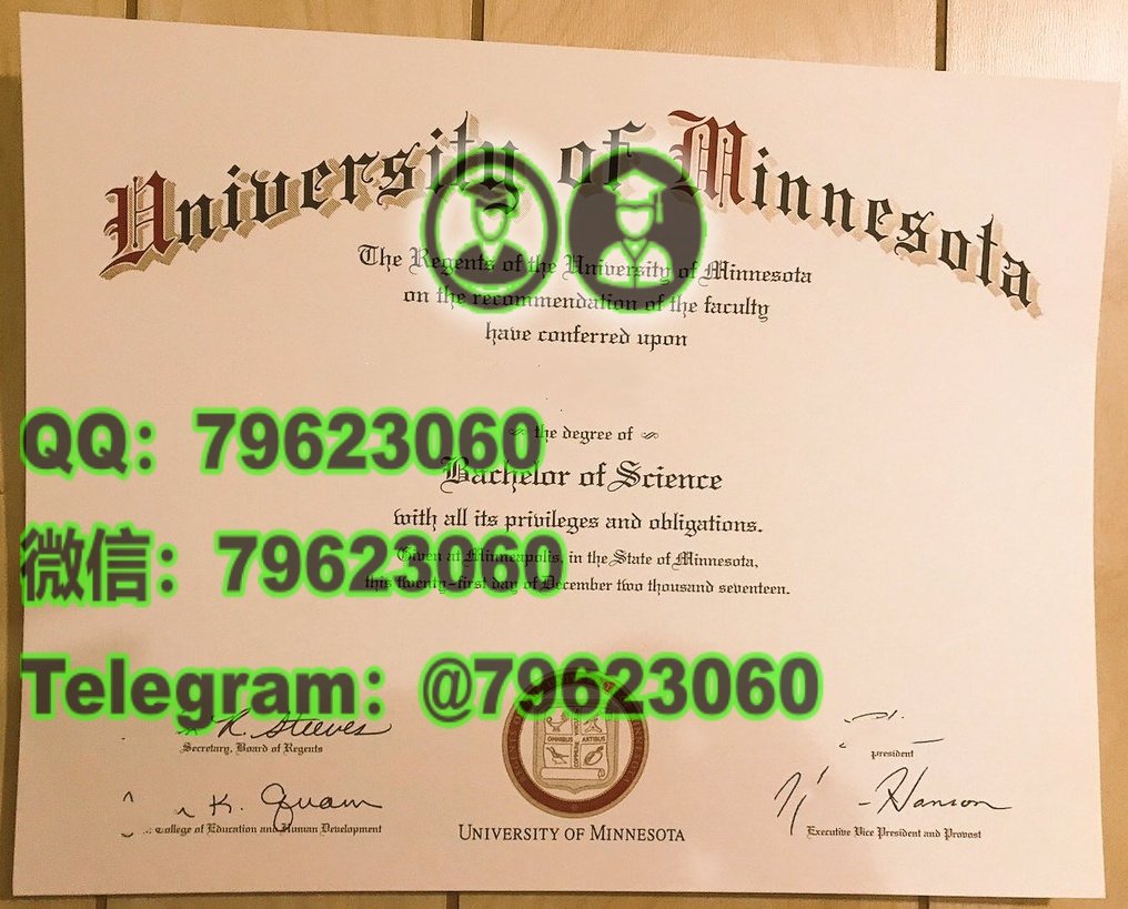 139 university of minnesota rochester diploma sample