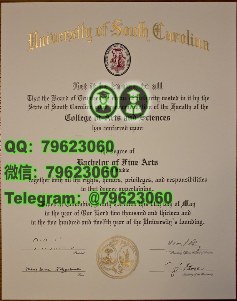 142 u of sc diploma sample